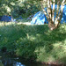 Newton Mill Camping and Caravan Park's Photo